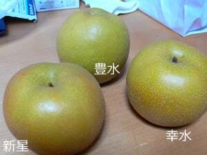 梨の3種