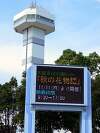 木曽三川公園でコスモス祭り♪