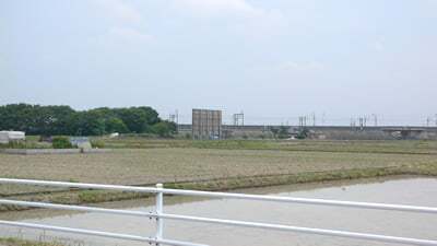 2009年大垣ひまわり畑が動きました