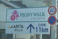 ピオニウォーク東松山3ヶ月後オープン行ってきました