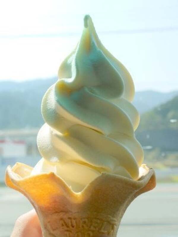 大内山牛乳のソフトクリームの写真