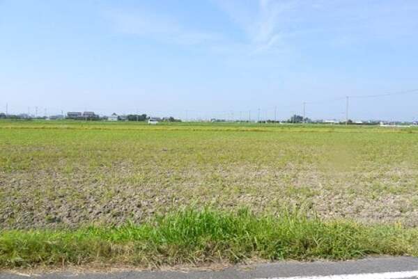 羽島市の田園フラワーフェスタひまわりの予定地の写真