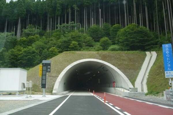 ささゆりトンネルの写真