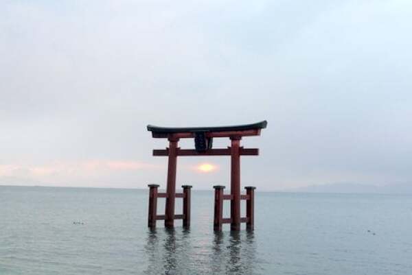 白鬚神社の鳥居と日の出の写真