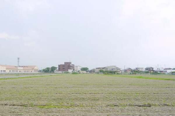 2013年大垣ひまわり畑の写真