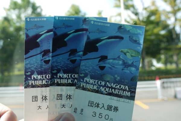 名古屋港水族館のチケットの写真