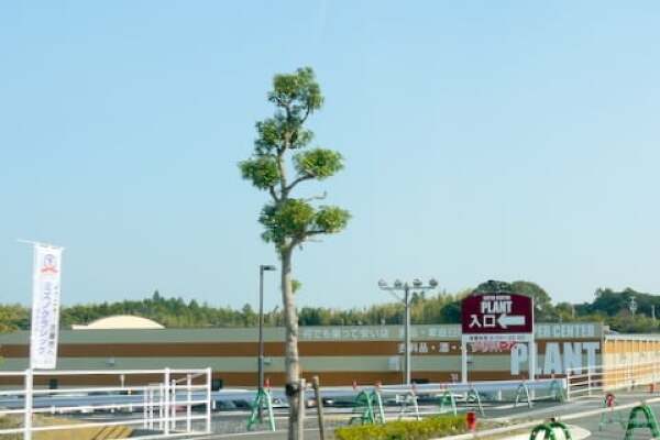 SUPER CENTER PLANT志摩店の写真