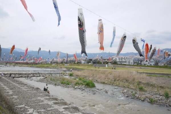 相川水辺公園の鯉のぼりの写真