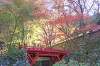 売店も楽しみの1つ！2014年両界山横蔵寺の紅葉を見に行ってきました