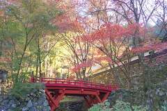 売店も楽しみの1つ！2014年両界山横蔵寺の紅葉を見に行ってきました