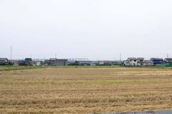 2015年大垣市のひまわり畑の様子の写真
