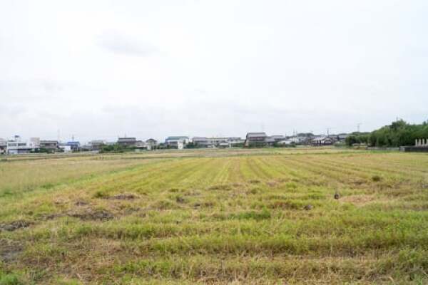 大垣市墨俣町上宿地内のひまわり畑予定地の写真