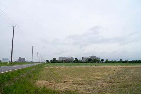 羽島市のひまわり畑！いちのえだ田園フラワーフェスタ　ひまわり2015進行中です