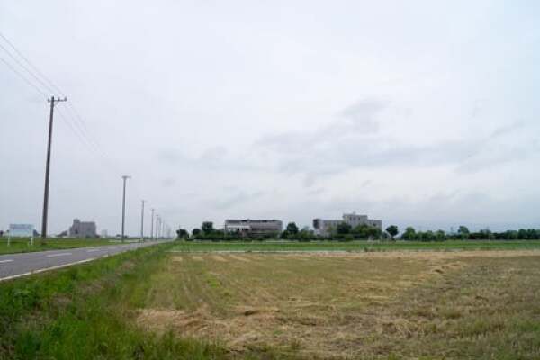 羽島市のひまわり畑予定地の写真