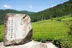 岐阜のマチュピチュと称される揖斐川町春日の天空の茶畑からの景色見てみました