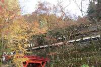 2016年の紅葉は終わり！揖斐川町谷汲の横蔵寺行ってきました