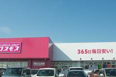 岐阜県2店舗目！ディスカウント・ドラッグコスモス真正店オープン行ってきました