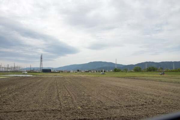 青野町のひまわり畑のスポットの写真