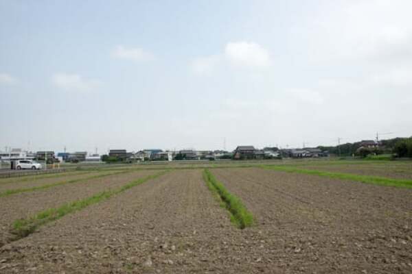 墨俣町のひまわり畑の予定地の写真
