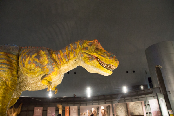 福井県立恐竜博物館の恐竜の写真