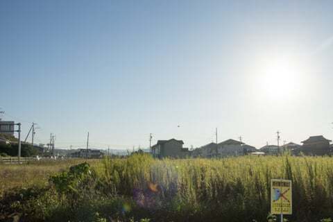 美濃加茂市のクスリのアオキ新池店予定地を見に行ってきました