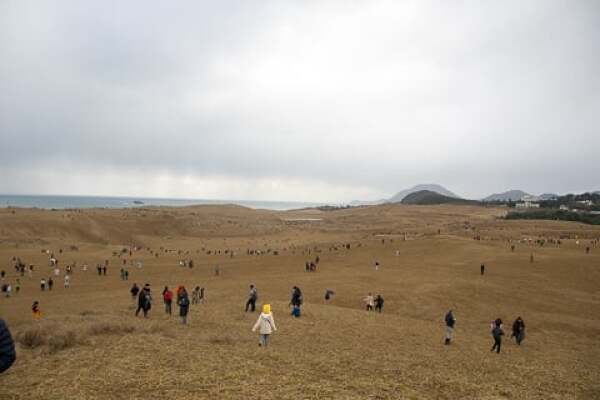 鳥取砂丘でゲームをするプレーヤーの写真