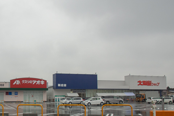 大阪屋ショップ新庄店とクスリのアオキの写真
