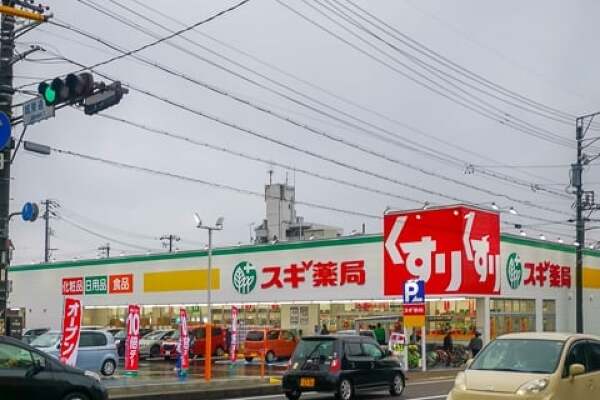 スギ薬局グループ岐阜城東店の写真
