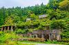 まさに天空の城ラピュタのような廃墟感ある滋賀県の土倉鉱山跡に行ってきました