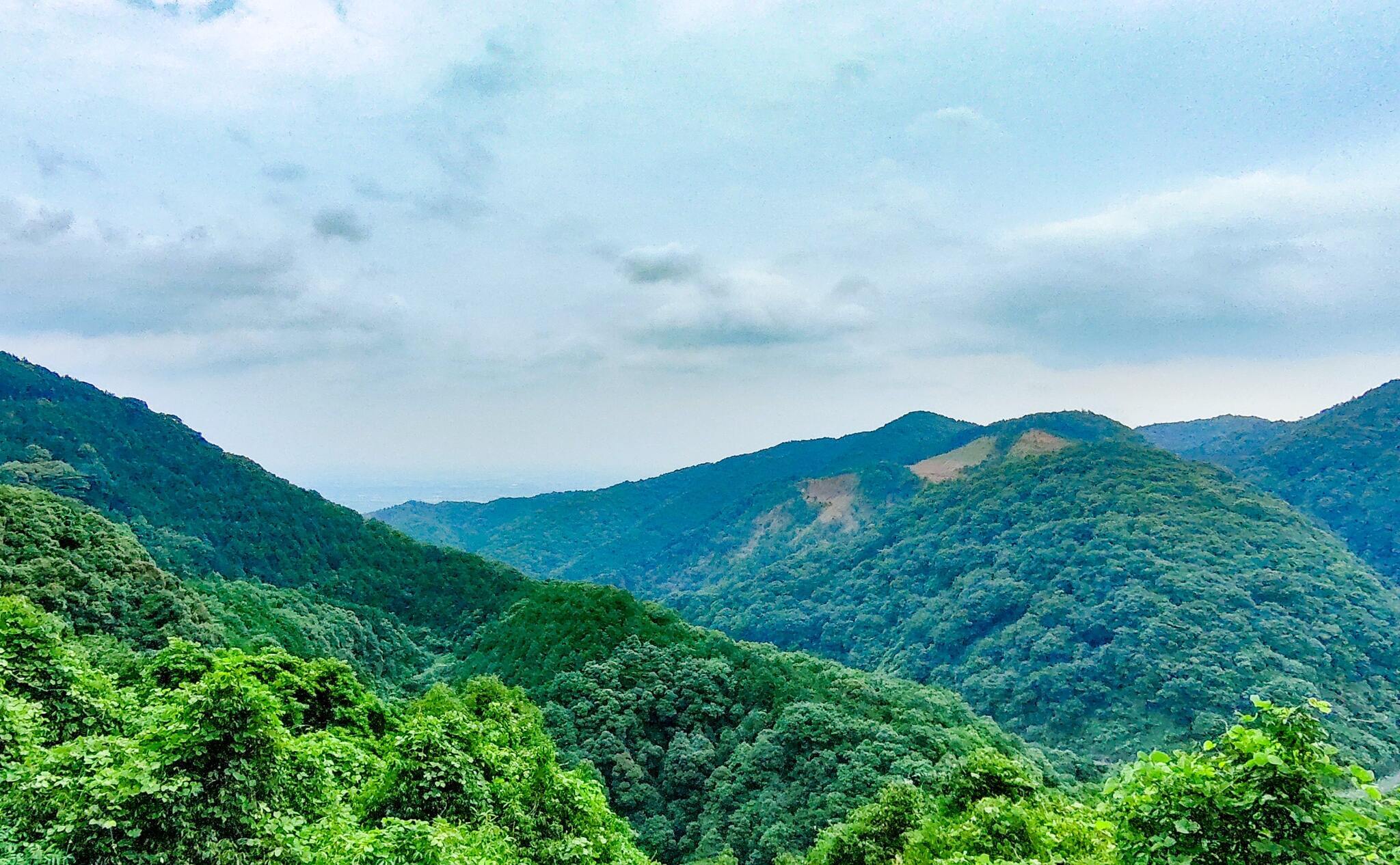 山頂からの風景の写真