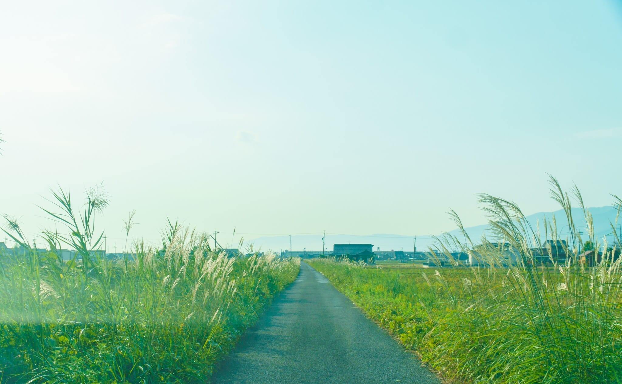 永松大井線の計画地の写真