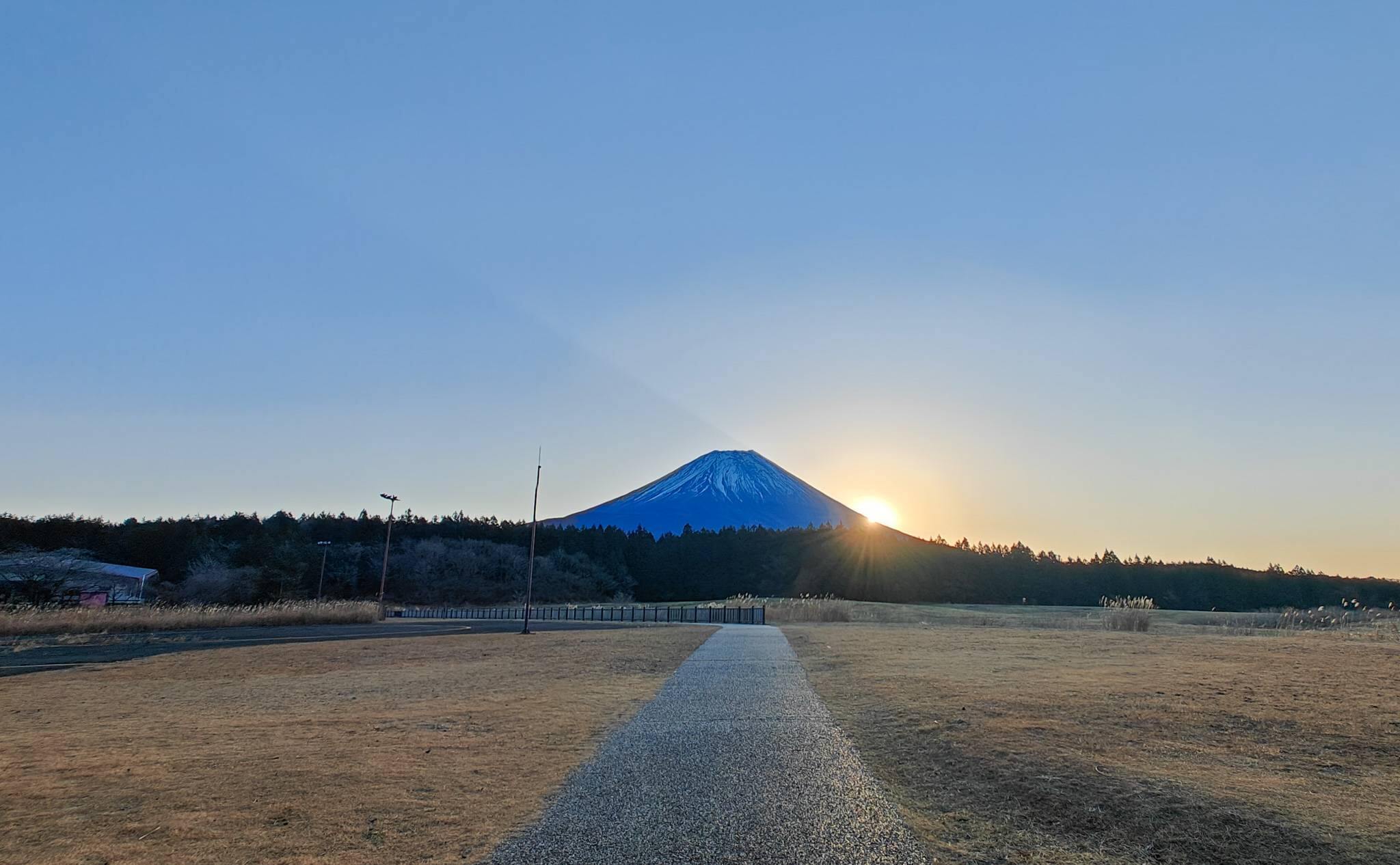 公園の写真