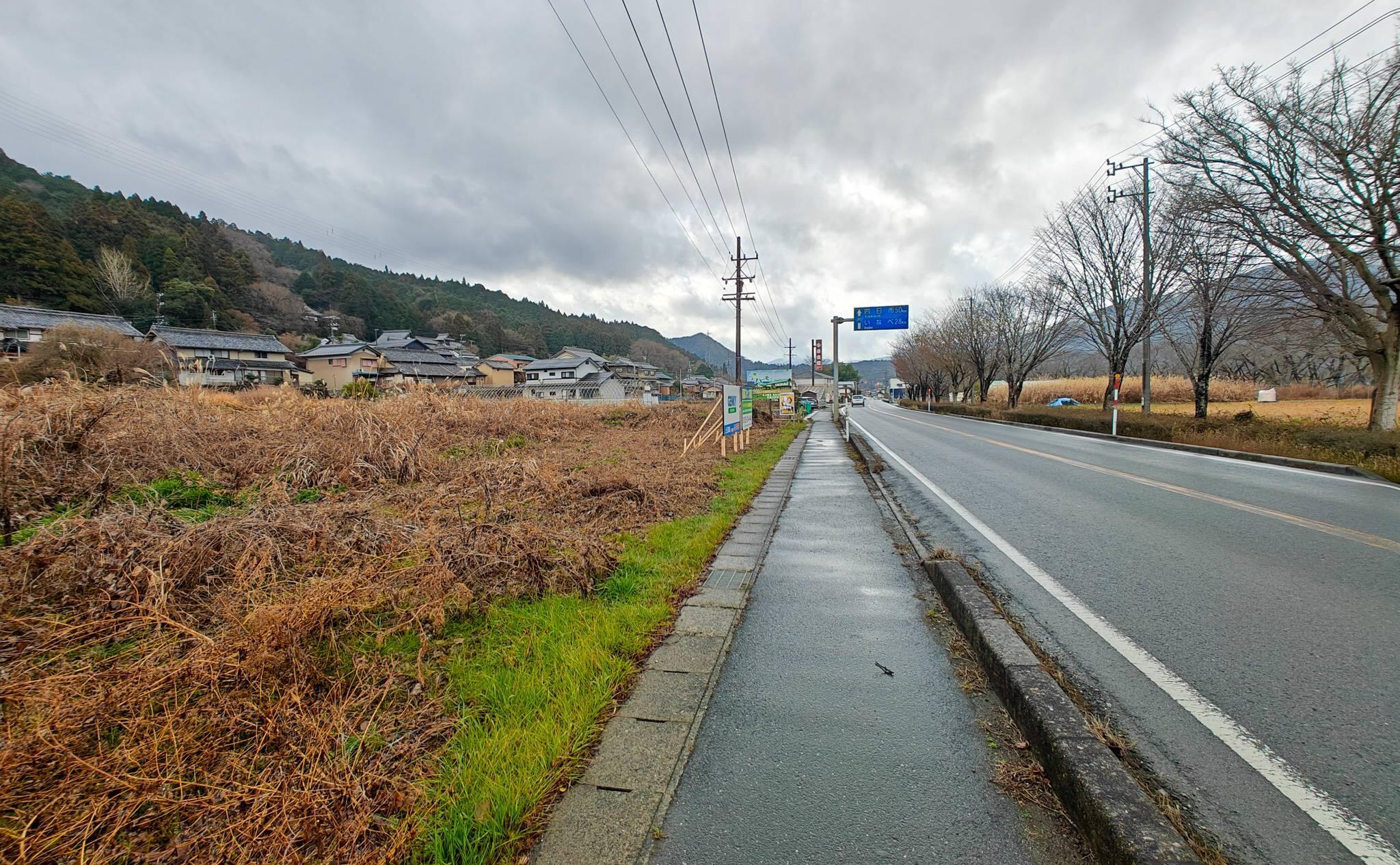 ゲンキー上石津店と国道365号の風景