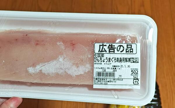 ビンチョウマグロ(2025年5月撮影)