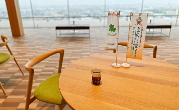 テーブルとコーヒー(2025年6月撮影)