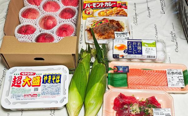 トライアル掛川店初日の購入品(2025年7月撮影)