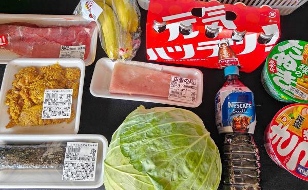 筆者のラ・ムー四日市南店の購入品キャベツ・オロナミンCなど(2025年8月撮影)