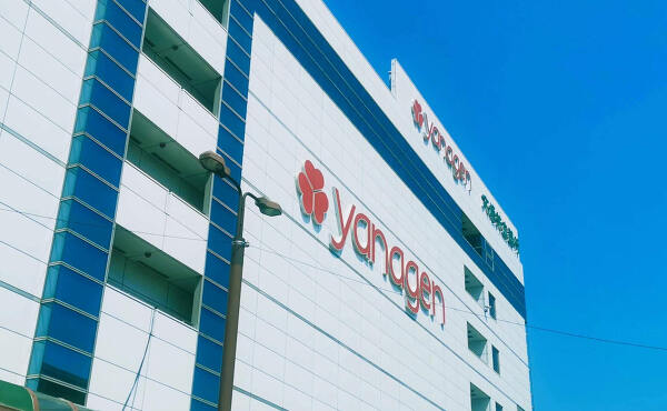 ヤナゲン本店A館現在は閉店(2019年8月撮影)