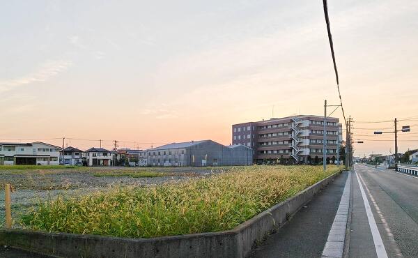 トライアル浜松葵西店と表通りの市道(2025年8月撮影)