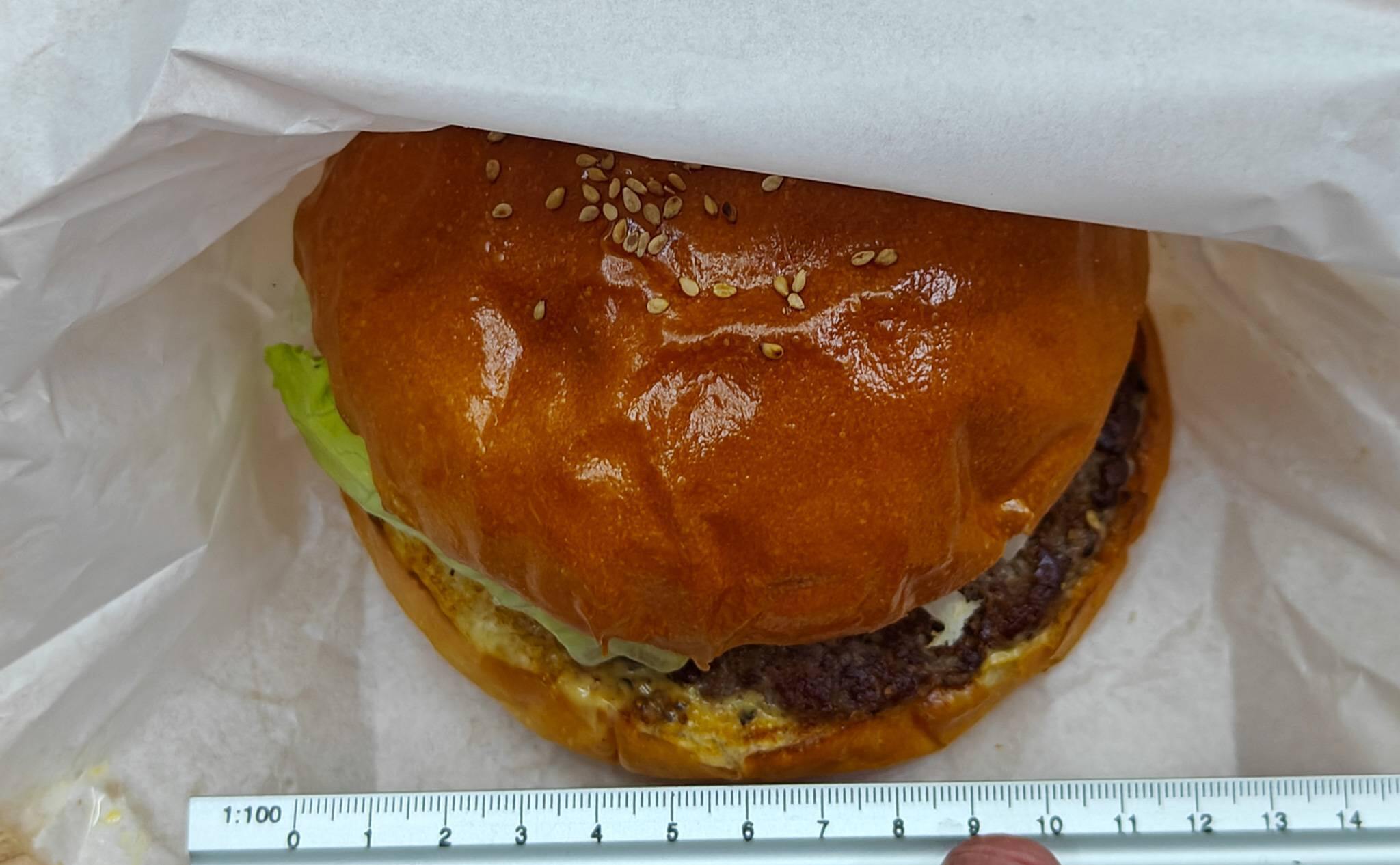 ハンバーガーのサイズ　12cm×8cm（2025年10月撮影）