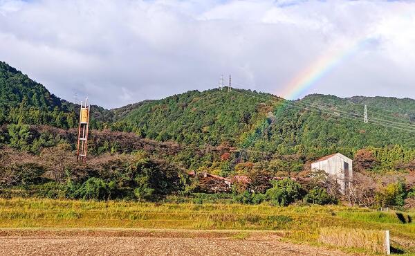 つちやの現在の既存工場が建設されている山の麓の風景(2025年11月撮影)