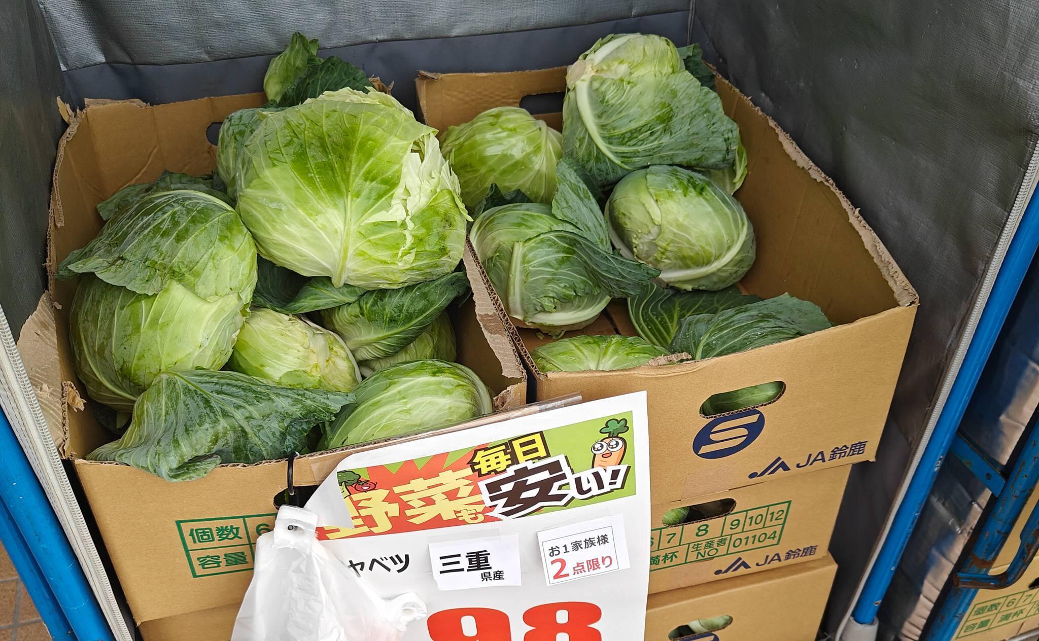 クスリのアオキの入り口にてキャベツの特売が並ぶ風景（2025年11月撮影）