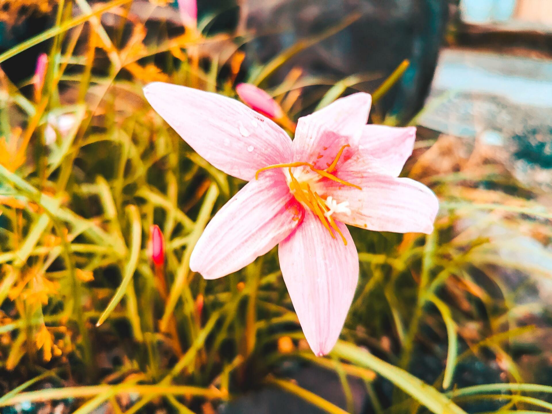 朝になりましたよー! 更新日記の下書き