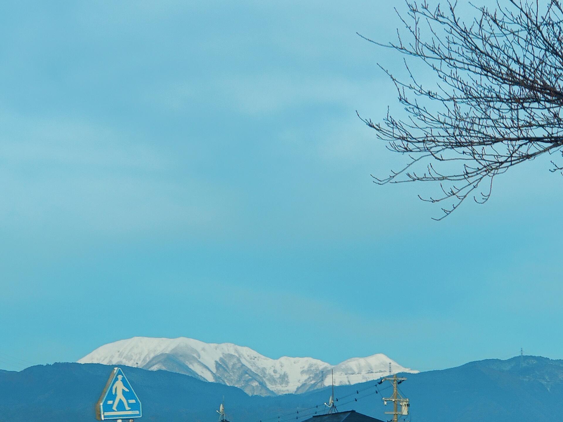 伊吹山は真っ白！の画像