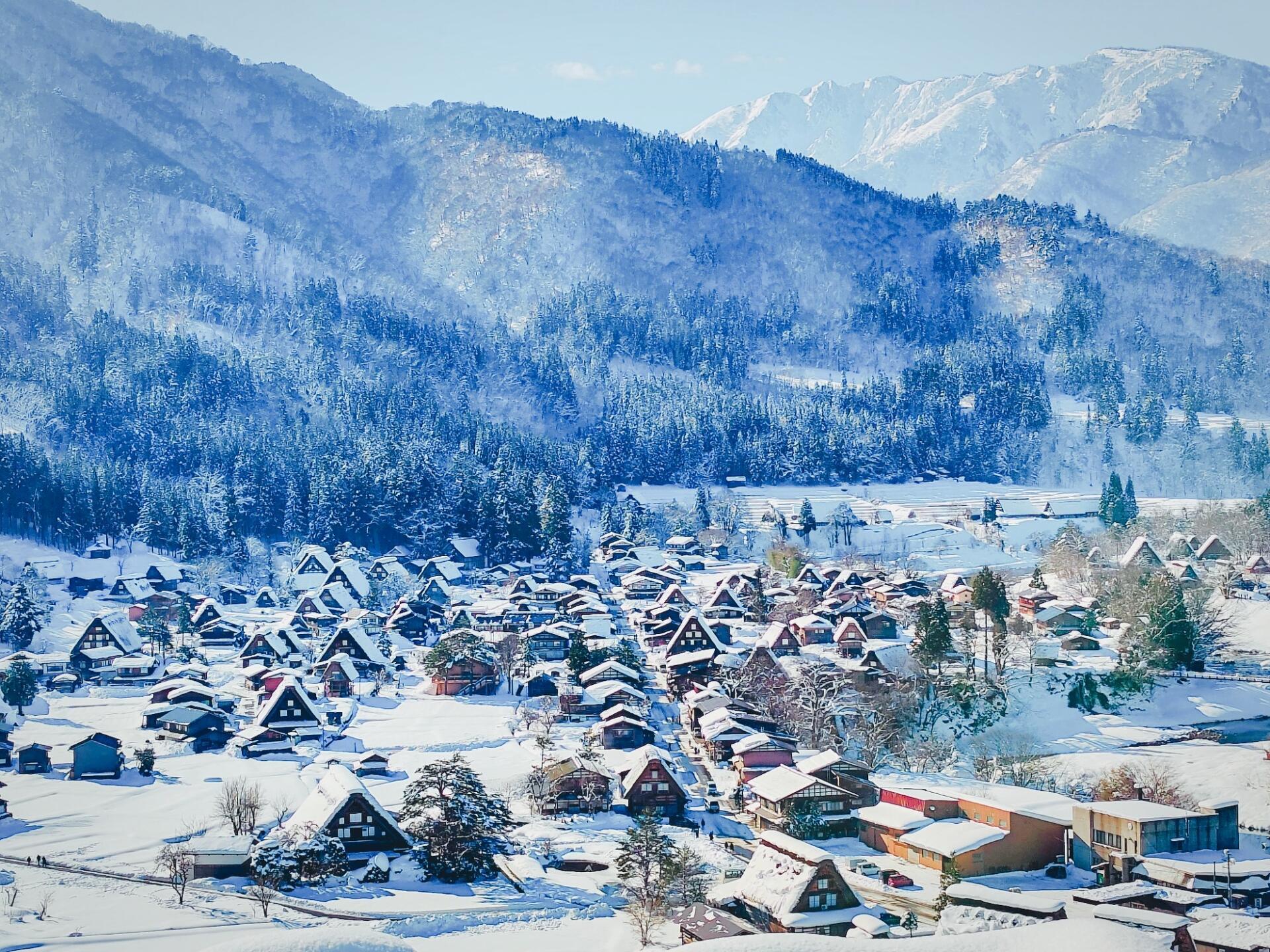 雪の日になりました！の画像