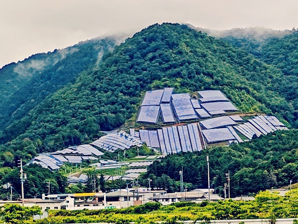 地球に優しい！の画像