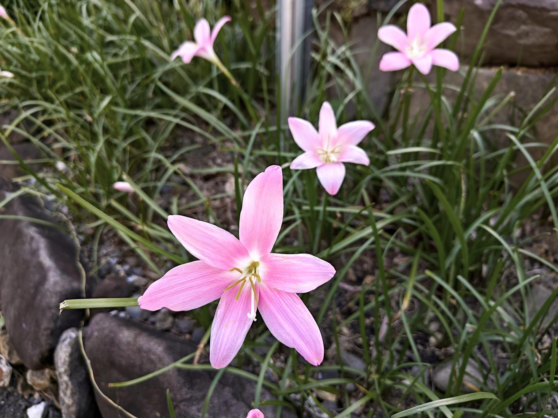 ついに連休明け！の画像