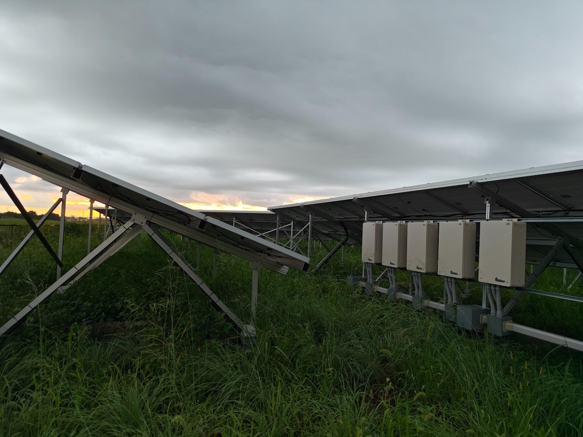 太陽光発電の雑草！の画像