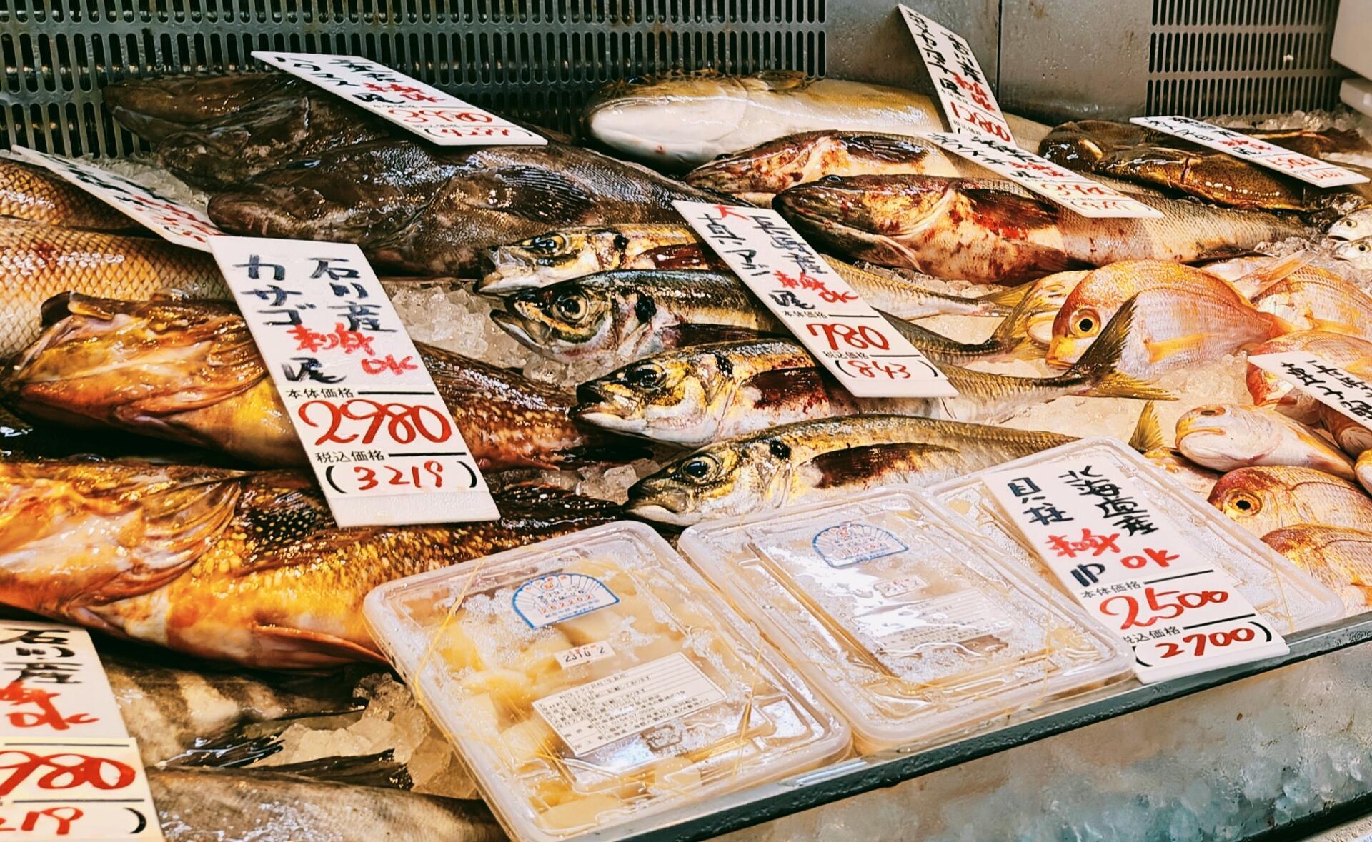 朝になりました！の画像