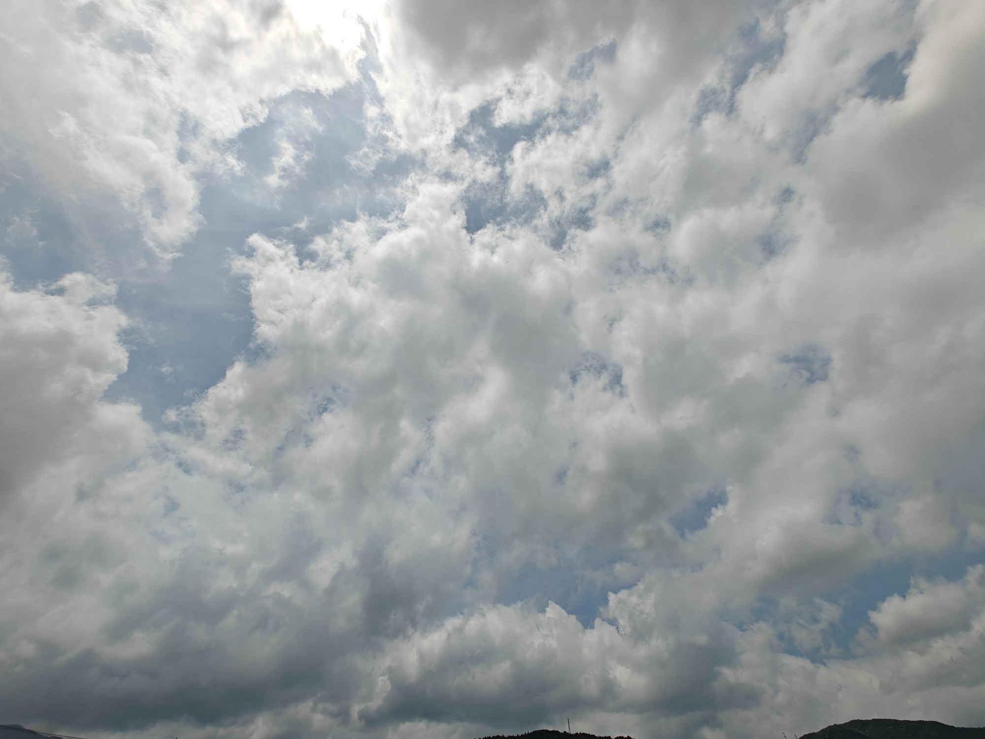 明日から雨だって！の画像